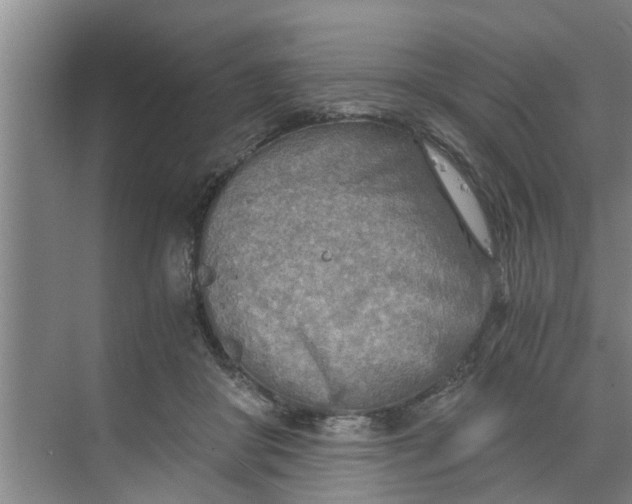 X0000068750410200605121615