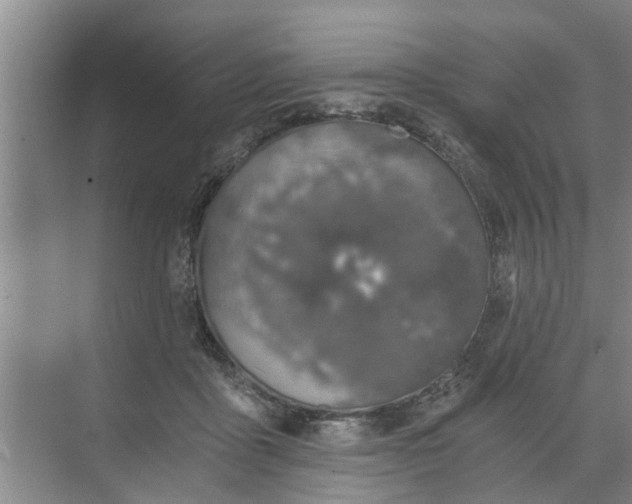 X0000068750411200605121615