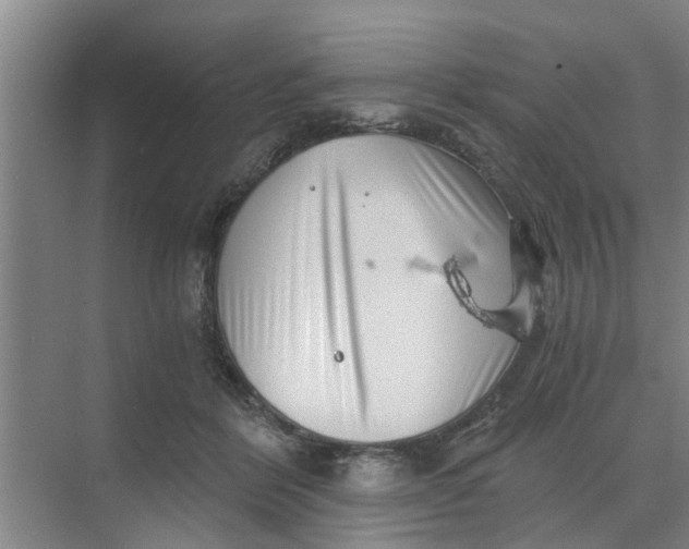 X0000068750412200605121615