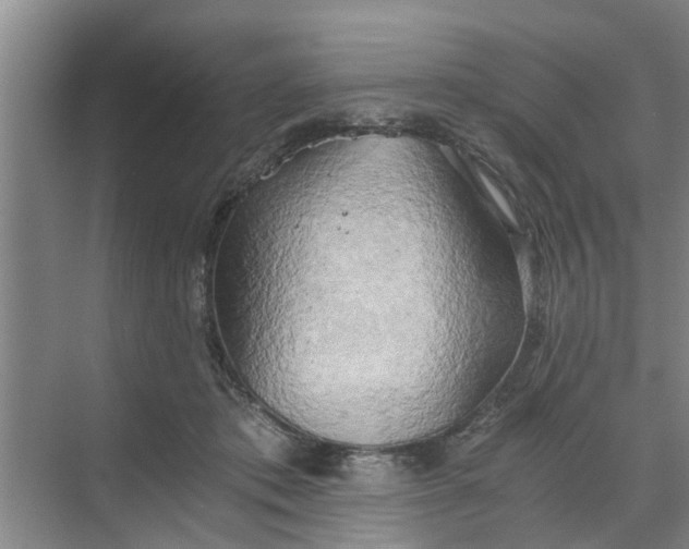 X0000068750413200605121615