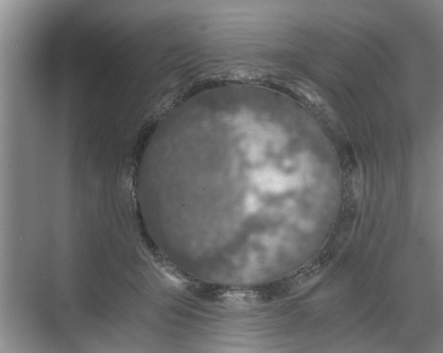 X0000068750415200605121615