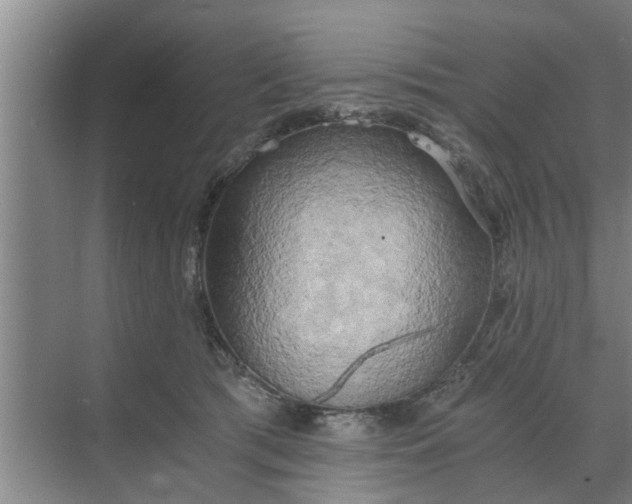 X0000068750417200605121615