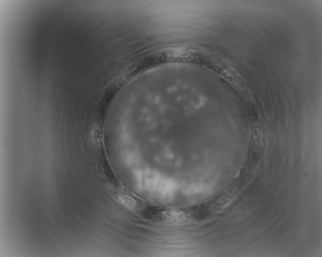 X0000068750419200605121615