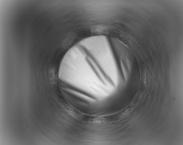 X0000068750420200605121615