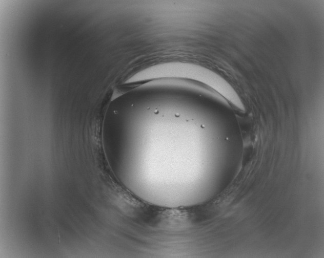 X0000068750421200605121615