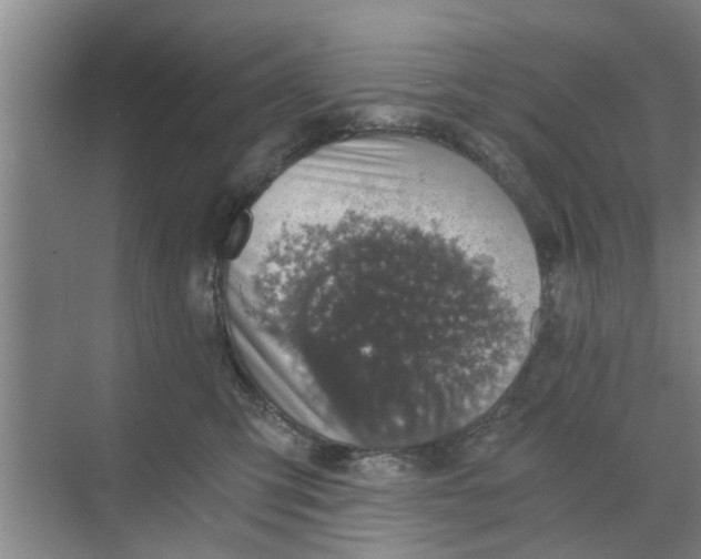 X0000068750423200605121615