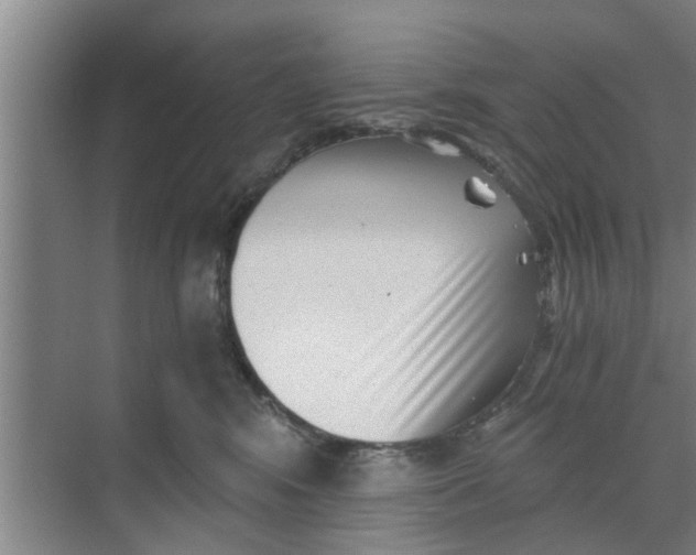 X0000068750424200605121615