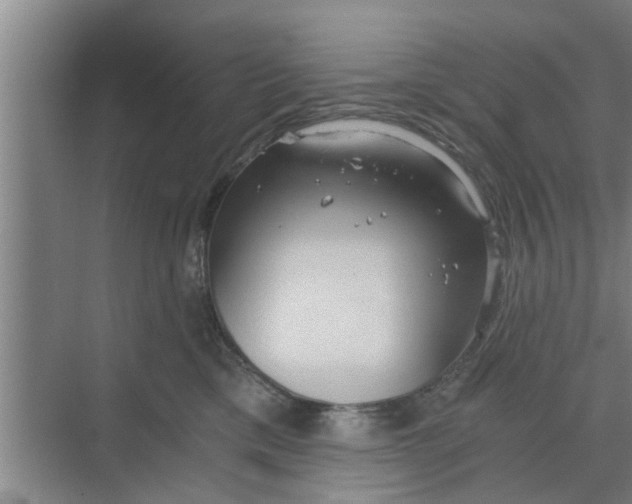 X0000068750425200605121615