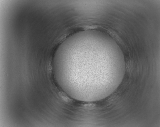 X0000068750426200605121615