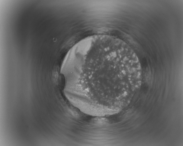 X0000068750427200605121615