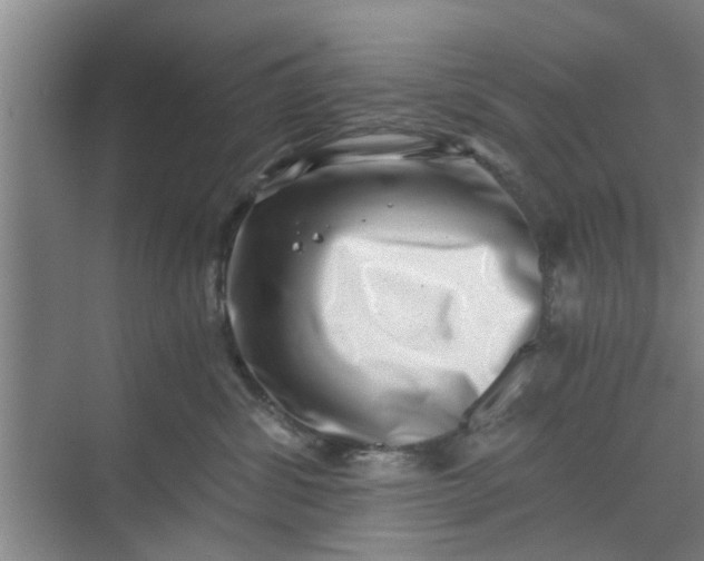 X0000068750428200605121615