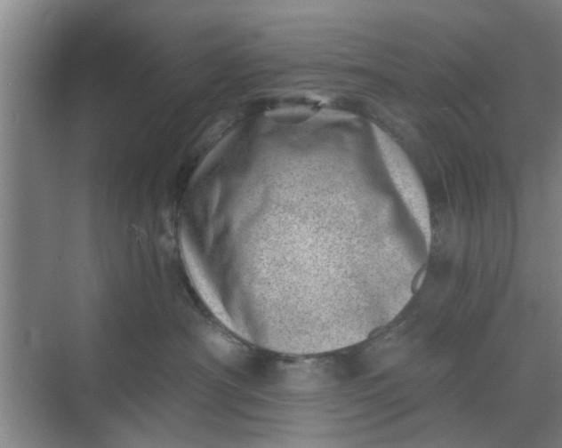 X0000068750430200605121614