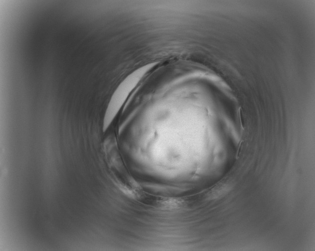 X0000068750432200605121614