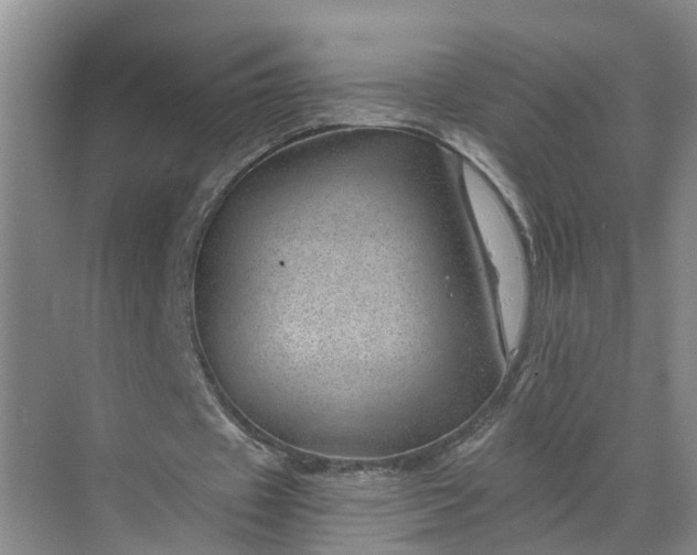 X0000068750433200605121614