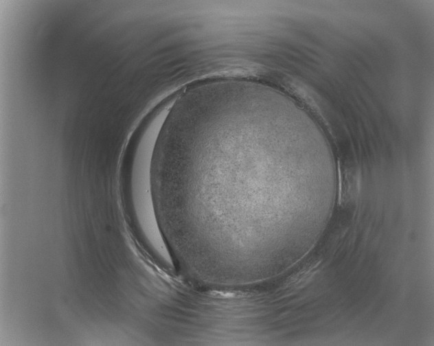 X0000068750435200605121614