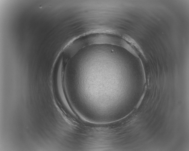 X0000068750436200605121614