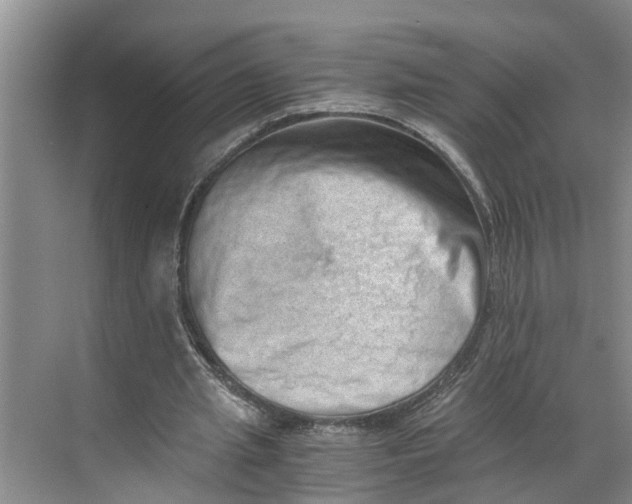 X0000068750437200605121614