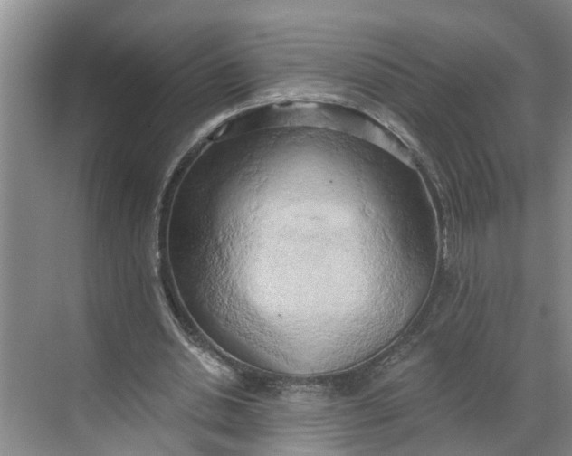 X0000068750438200605121614