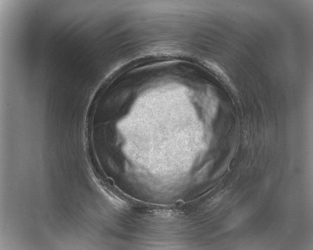 X0000068750439200605121614