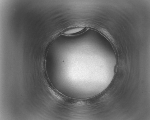 X0000068750441200605121614