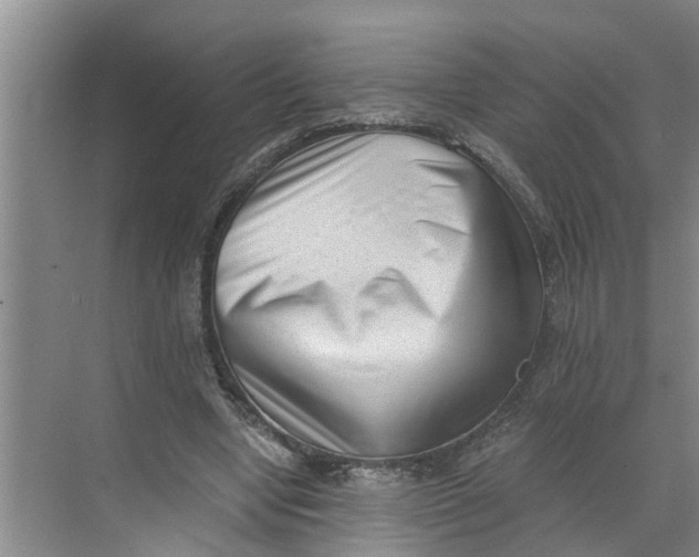 X0000068750442200605121614