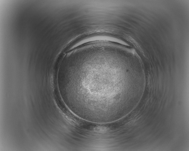 X0000068750444200605121614