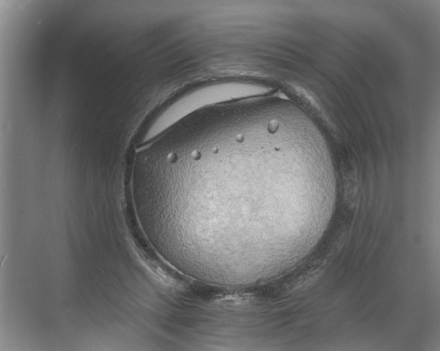 X0000068750447200605121614