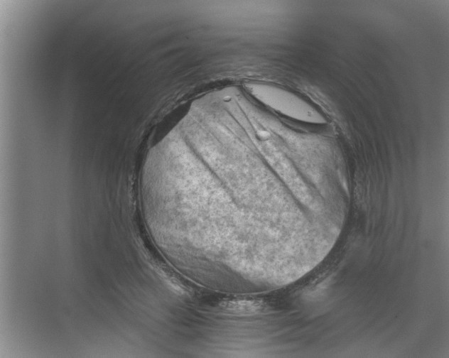 X0000068750449200605121614