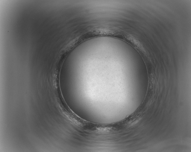 X0000068750450200605121614