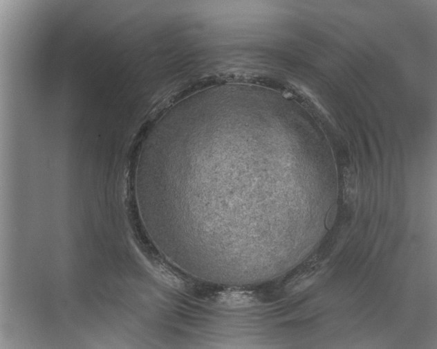 X0000068750451200605121614