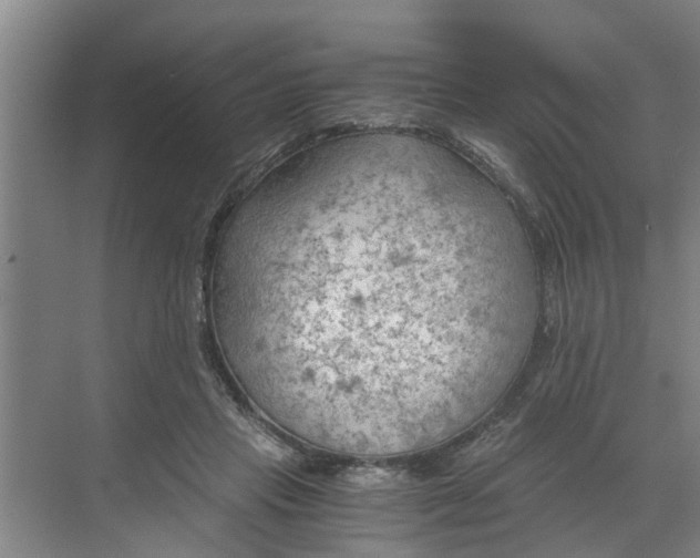 X0000068750453200605121614