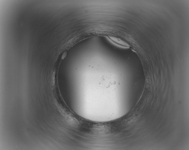 X0000068750454200605121614