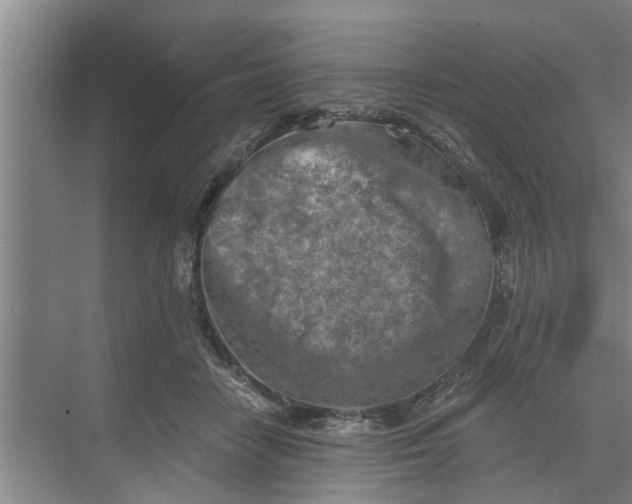 X0000068750458200605121614