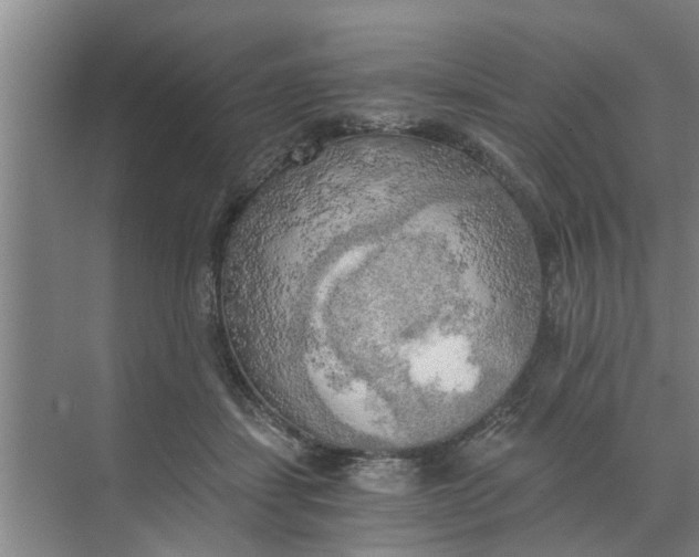 X0000068750459200605121614