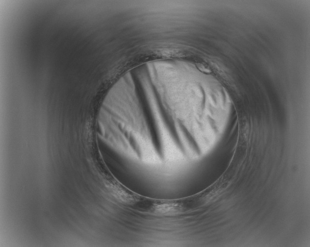 X0000068750461200605121614