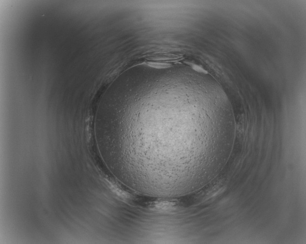 X0000068750462200605121614