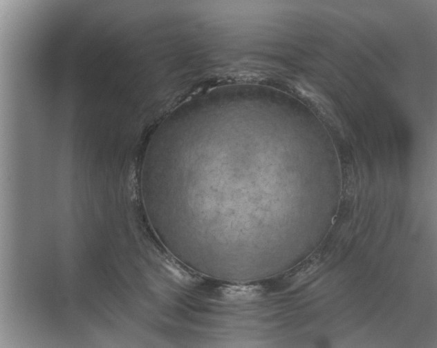 X0000068750465200605121614