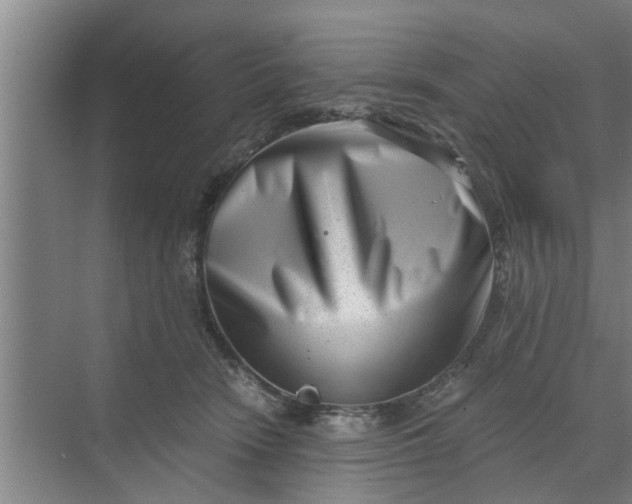 X0000068750466200605121614