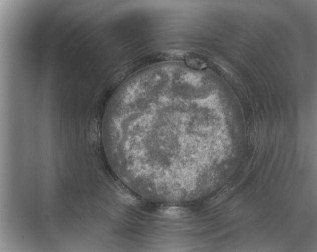 X0000068750467200605121614