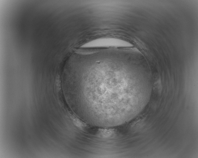 X0000068750469200605121614