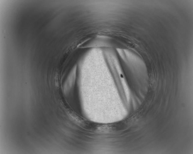 X0000068750470200605121614