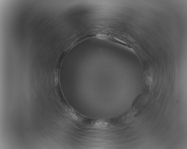 X0000068750471200605121614