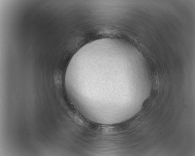 X0000068750472200605121614