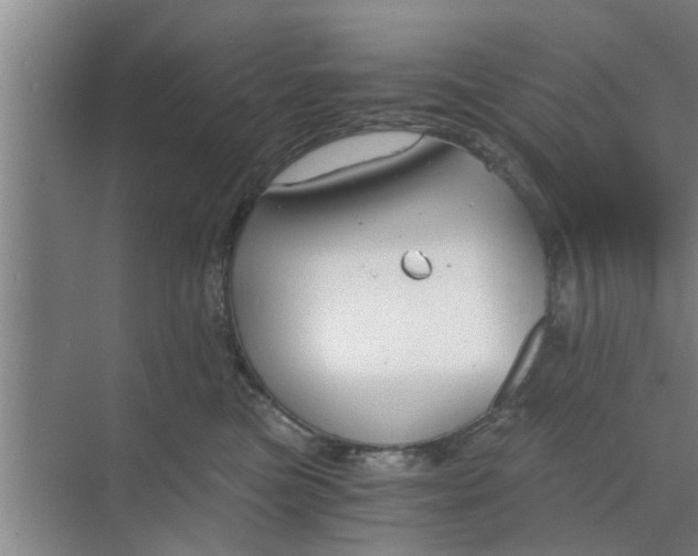 X0000068750473200605121614