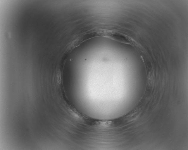 X0000068750474200605121614