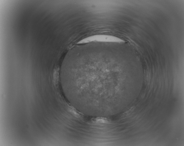 X0000068750475200605121614