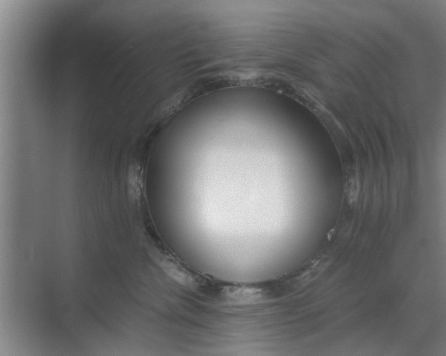 X0000068750476200605121614