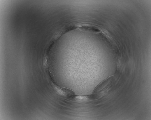 X0000068750477200605121614