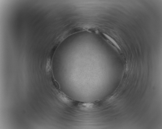 X0000068750478200605121614