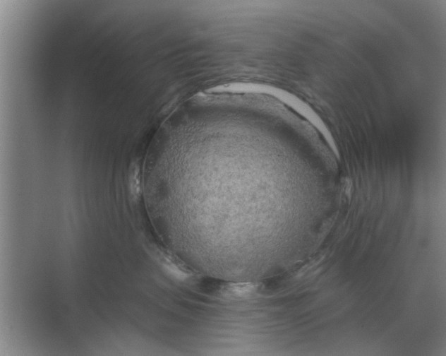 X0000068750479200605121614